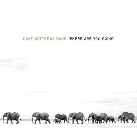 Dave Matthews Band - Where Are You Going: The Singles (2025) (Hi-Res) FLAC/MP3