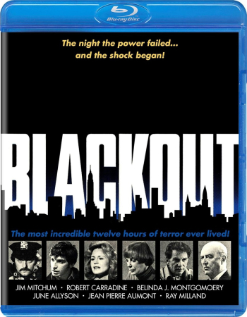 Blackout 1978 1080p BluRay x264-OFT