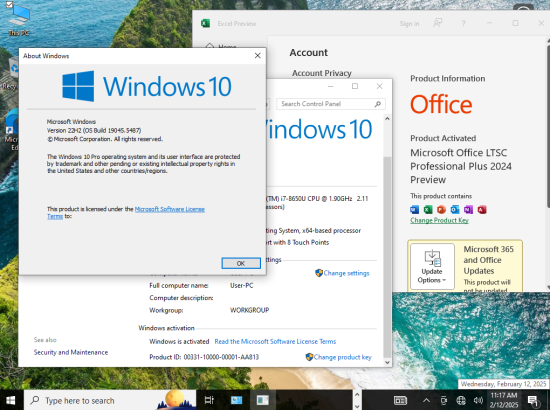 Windows 10 22H2 build 19045.5487 10in1 incl Office 2024 Preactivated February 2025