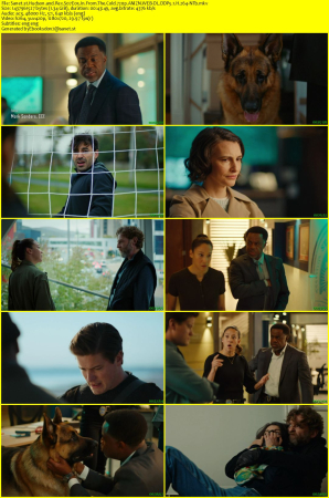 Hudson and Rex S07E05 In From The Cold 720p AMZN WEB-DL DDP5 1 H 264-NTb