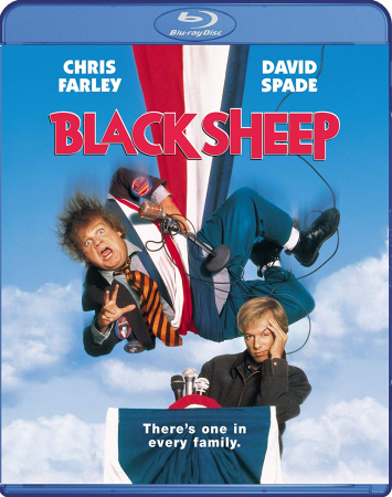 Black Sheep 1996 1080p BluRay x264-OFT