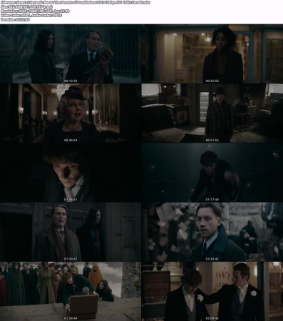Fantastic Beasts The Secrets of Dumbledore 2022 1080p AV1 10bit-Zero00