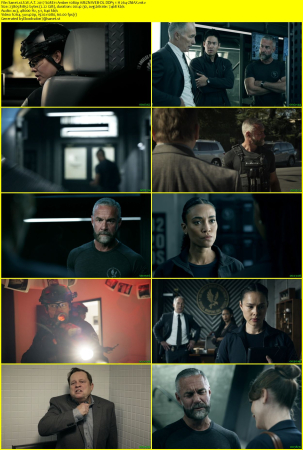 S.W.A.T. 2017 S08E11 Amber 1080p AMZN WEB-DL DDP5 1 H 264-FZMAX
