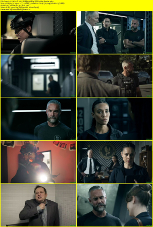 S.W.A.T. 2017 S08E11 1080p WEB x264-Hunter