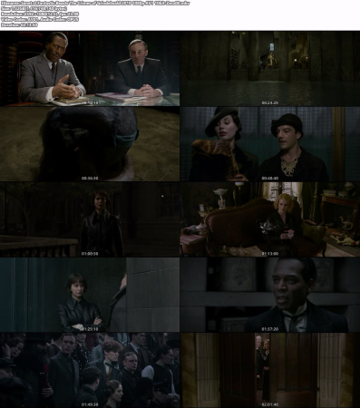 Fantastic Beasts The Crimes of Grindelwald 2018 1080p AV1 10bit-Zero00