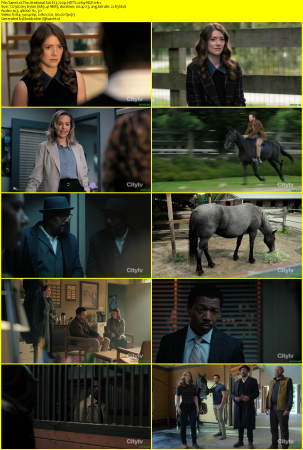 The Irrational S02E13 720p HDTV x264-NGP