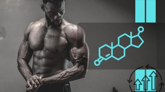 Optimize Testosterone: Natural Methods for Peak Performance