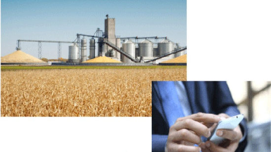 Soft Commodity Life Cycle From A to Z (Part 2)