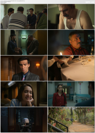The Mehta Boys 2025 1080p AMZN WEB-DL DD 5.1 H264-playWEB