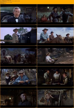 The Magnificent Seven Collection 1080p BRRip x264 AC3 DiVERSiTY