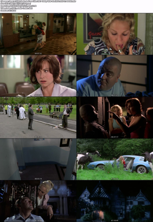 High Heels And Low Lifes 2001 1080p WEB-DL HEVC x265 5.1 BONE