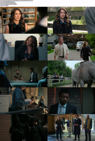The Irrational S02E13 1080p AMZN HEVC x265-SoLo