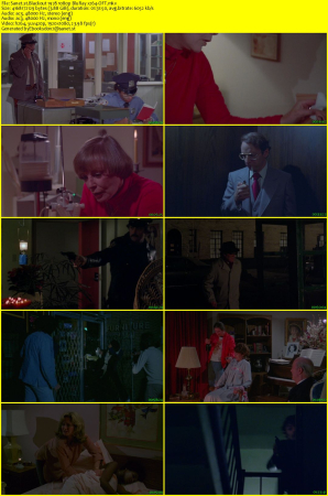 Blackout 1978 1080p BluRay x264-OFT