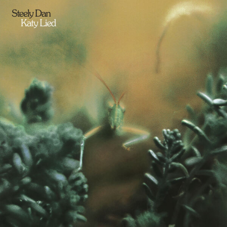 Steely Dan - Katy Lied (2025 Remaster) (1975/2025) (Hi-Res) FLAC/MP3