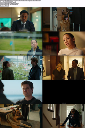 Hudson and Rex S07E05 In From The Cold 1080p WEB-DL HEVC x265-RMT