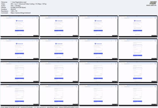 Quick Deep into DeepSeek