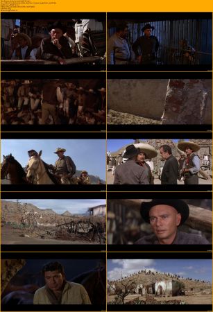 The Magnificent Seven Collection 1080p BRRip x264 AC3 DiVERSiTY