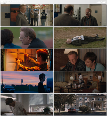 Brave the Dark 2025 1080p WEB-DL H264 COLLECTiVE