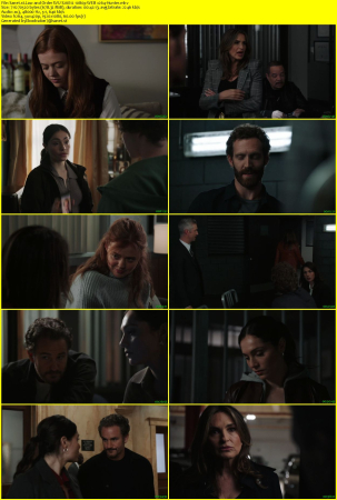 Law and Order SVU S26E12 1080p WEB x264-Hunter