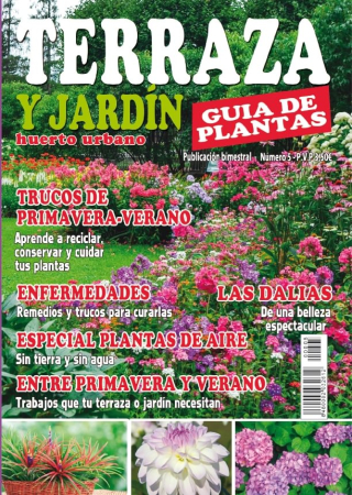 Terraza y Jardin - No. 5, 2025
