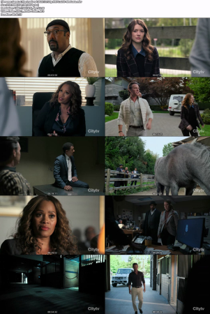 The Irrational S02E13 720p HEVC x265-MeGusta