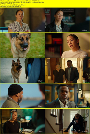 Hudson and Rex S07E05 720p HDTV x264-SYNCOPY