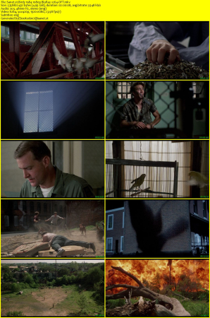Birdy 1984 1080p BluRay x264-OFT