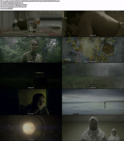 Annihilation 2018 2160p 10bit HDR WEBRip 6CH x265 HEVC-PSA