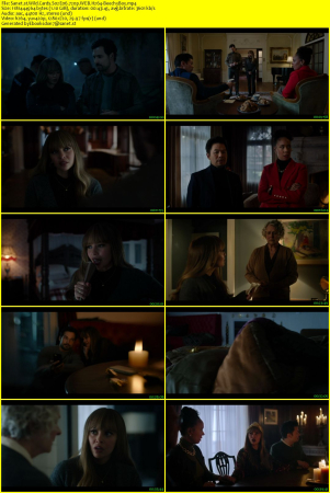 Wild Cards S02E06 720p WEB H264-BeechyBoy
