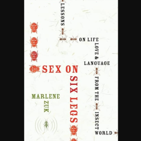 Sex on Six Legs: Lessons on Life, Love, and Language from the Insect World (Audiobook)