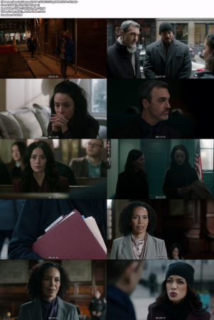 Law And Order S24E12 720p WEB H264-JFF