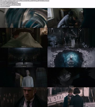 Fantastic Beasts and Where to Find Them 2016 1080p AV1 10bit-Zero00