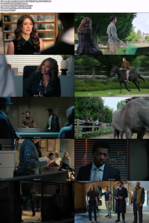 The Irrational S02E13 1080p x265-ELiTE