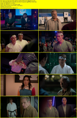 Cobra Kai S06E13 MULTI 1080p WEB X264-HiggsBoson