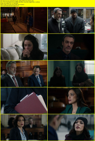 Law and Order S24E12 1080p WEB x264-Hunter