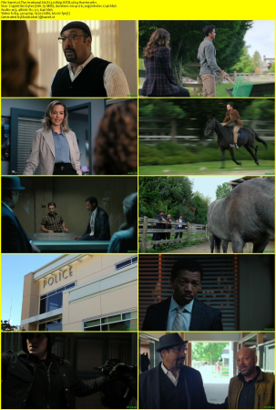 The Irrational S02E13 1080p WEB x264-Hunter