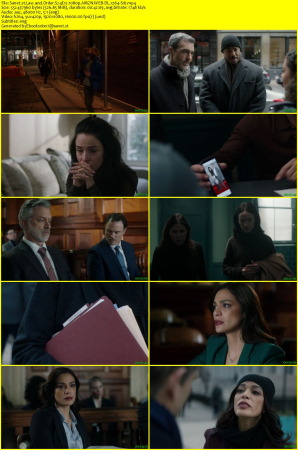 Law and Order S24E12 1080p AMZN WEB-DL x264-Si6