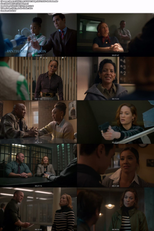 Will Trent S03E06 1080p HEVC x265-MeGusta