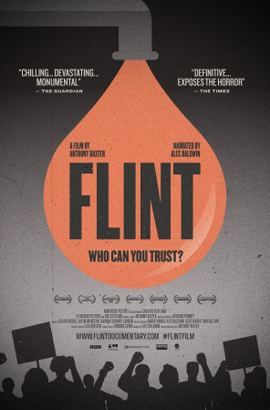 Flint 2020 1080p WEBRip x264 AAC-LAMA