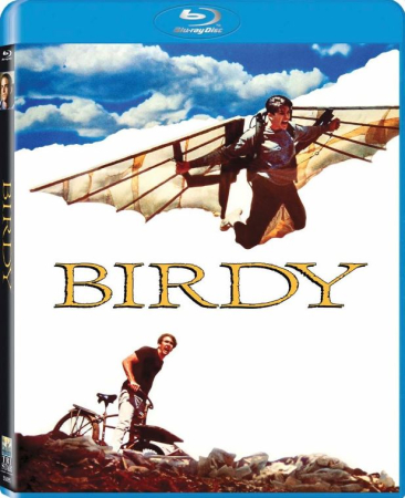 Birdy 1984 1080p BluRay x264-OFT
