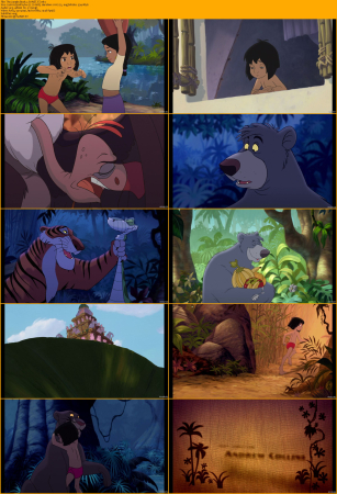 The Jungle Book Duology 1080p BRRip x264 AC3 DiVERSiTY