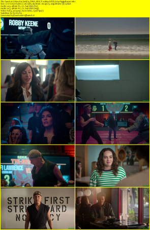 Cobra Kai S06E15 FINAL MULTI 1080p WEB X264-HiggsBoson