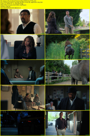 The Irrational S02E13 1080p WEB h264-ETHEL