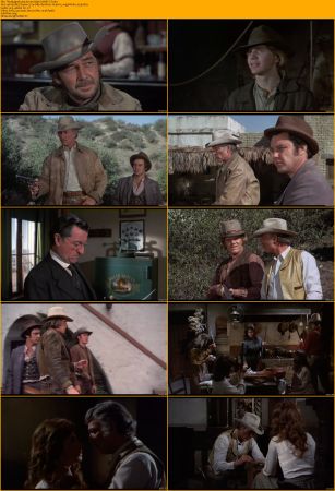 The Magnificent Seven Collection 1080p BRRip x264 AC3 DiVERSiTY