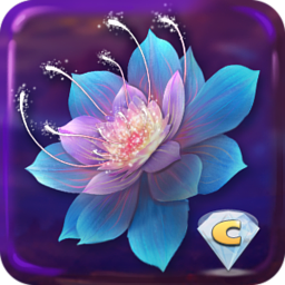 Reflections of Life - Sleeps Embrace Collectors Edition macOS