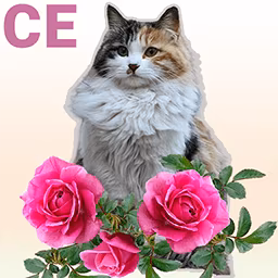 Peaceful Gardens 2 - Cute Cats Collectors Edition macOS