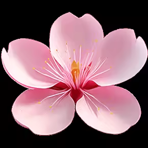 Zen Quest Garden Cherry Blossom macOS