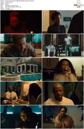 Johnson 2021 S01 1080p WEBRip 10bit EAC3 2.0 x265-iVy