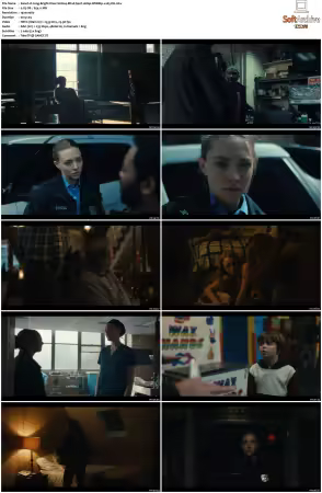 Long Bright River S01 1080p WEBRip x265-DH