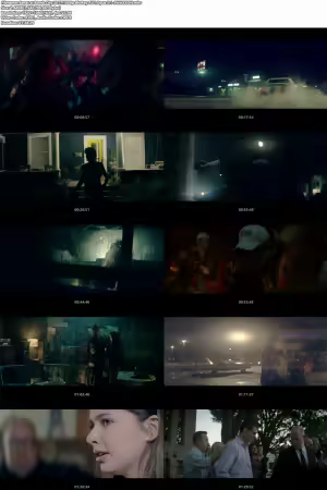 Bomb City 2017 1080p BluRay AV1 Opus 5.1-SWAXXON